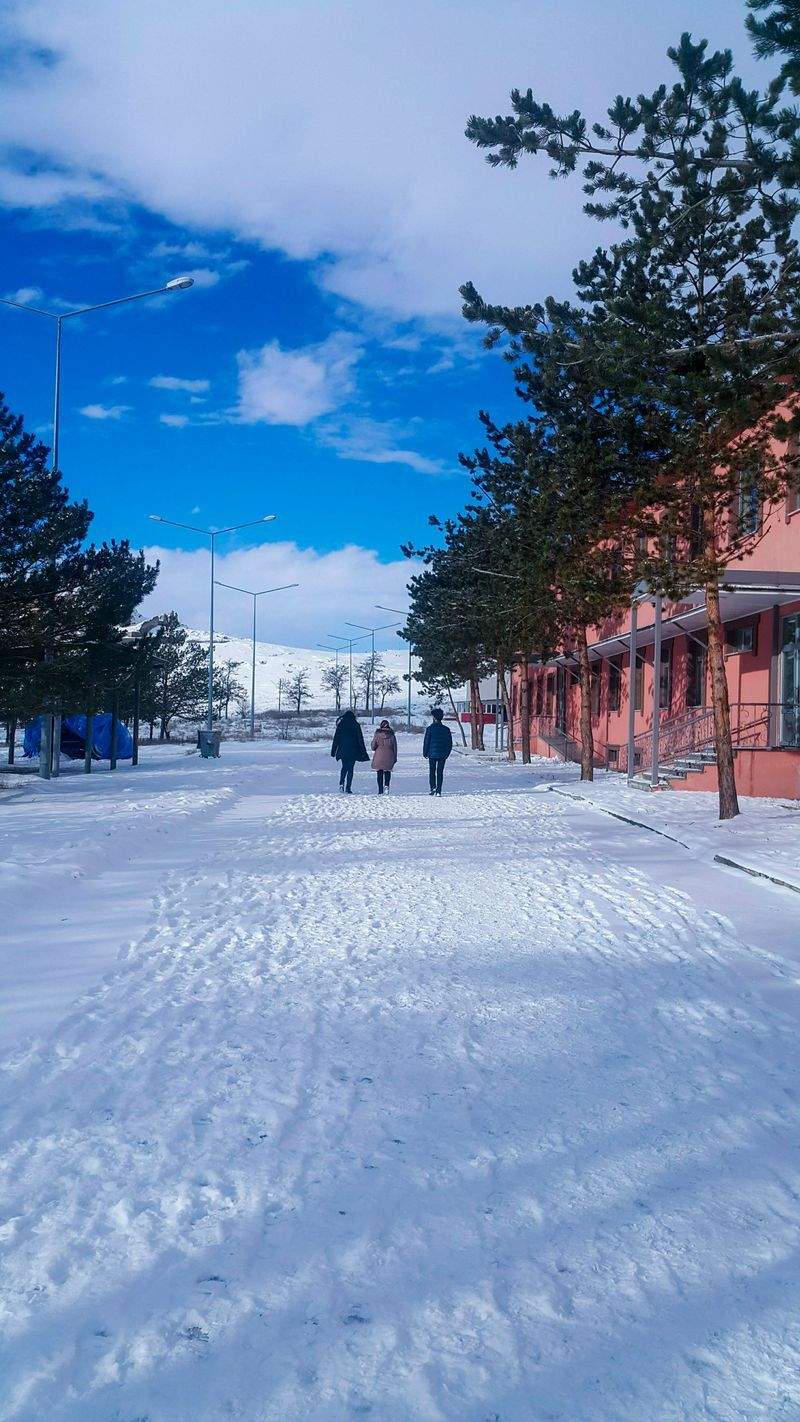 未来学園株式会社 - Image 5